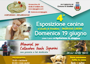 esposizione_canina_2016